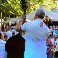 muziek-op-rhoon-festival-zat-300618-2579.jpg